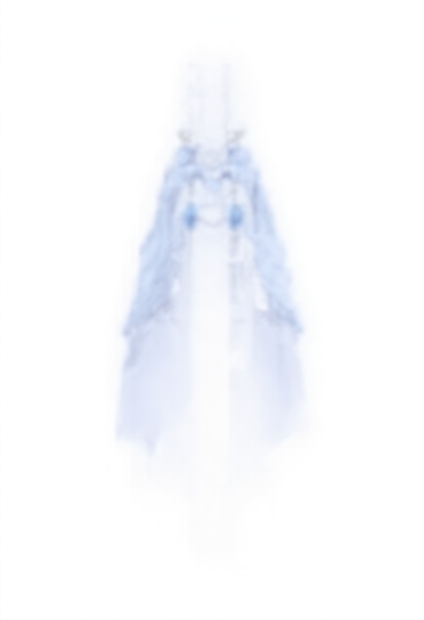 nova_model_neta_00001_